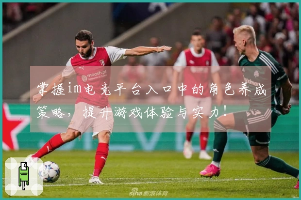 掌握im电竞平台入口中的角色养成策略,提升游戏体验与实力!